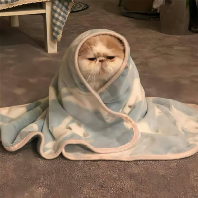 Цȳͷ