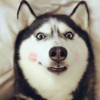ĹʿЦͷ