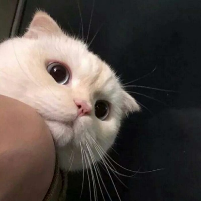 ȻŮĿɰĶèͷ