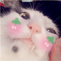 һԶͷ