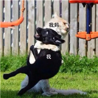 ЩıֱЦˡ